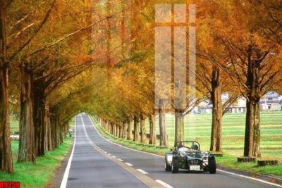 File gốc file tranh in treo tường file decor tổng hợp R9259 (Filetranh.com) file tranh in treo tường file decor tổng hợp R9259