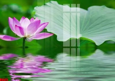 Download file gốc file tranh in treo tường file decor tổng hợp R9423 (in lụa) cao cấp