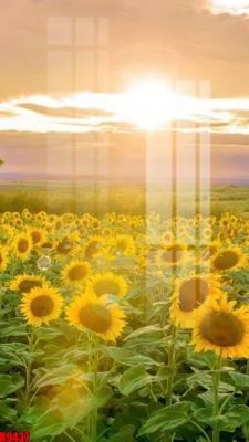 Tải về hình ảnh gốc file tranh in treo tường file decor tổng hợp R9437 sắc nét