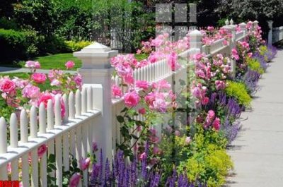 Ảnh gốc file in lụa file tranh in treo tường file decor tổng hợp R9610 chi tiết