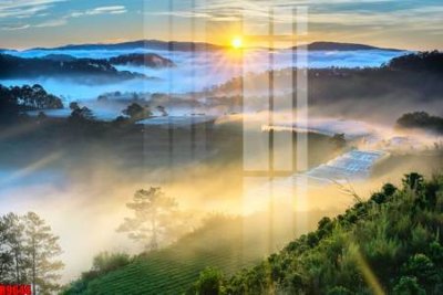 File gốc file tranh in treo tường file decor tổng hợp R9644 (in tráng gương) sang trọng