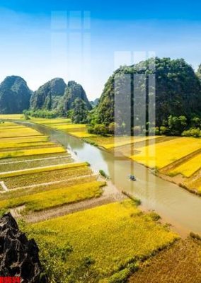 File gốc file tranh in treo tường file decor tổng hợp R9654 (in lụa) tranh phong thủy