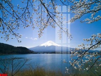 File gốc file tranh in treo tường file decor tổng hợp R9666 (in mica) làm quà tặng