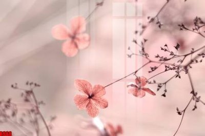 File in lụa file tranh in treo tường file decor tổng hợp R968 (phong cảnh) file tranh in treo tường file decor tổng hợp R968