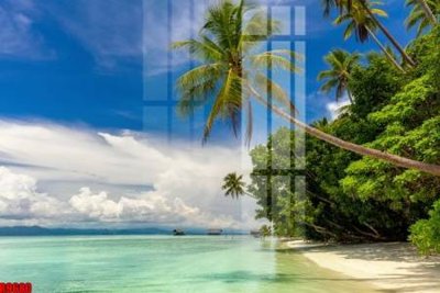 File tranh file tranh in treo tường file decor tổng hợp R9680 (gốc) phong cách tối giản