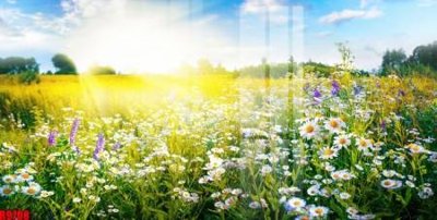 File ảnh file tranh in treo tường file decor tổng hợp R9708 (gốc) in quảng cáo ngoài trời