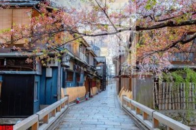 File ảnh file tranh in treo tường file decor tổng hợp R9728 (gốc) in quảng cáo ngoài trời