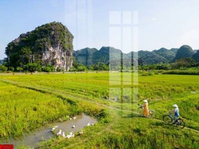 File tranh file tranh in treo tường file decor tổng hợp R9729 (gốc) phong cách tối giản