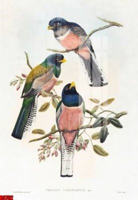 File gốc file tranh in treo tường file decor tổng hợp R9752 (in lụa) họa tiết 3D