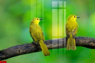 File tranh file tranh in treo tường file decor tổng hợp R9758 (file gốc) chủ đề phong thủy