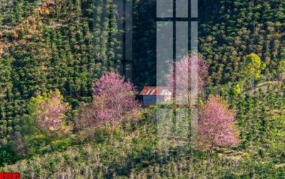 Tải file file tranh in treo tường file decor tổng hợp R9805 (gốc) làm file in ấn