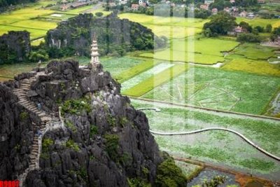 File tranh file tranh in treo tường file decor tổng hợp R9807 (bản gốc) in lụa 3D