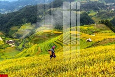 File gốc file tranh in treo tường file decor tổng hợp R9810 (phong cách) châu Âu