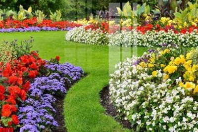 File in ấn cao cấp file tranh in treo tường file decor tổng hợp R9819 (file gốc)