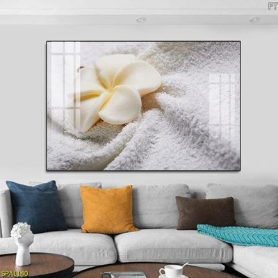 File in mica Tranh trang trí Spa SPA1140 (bản gốc) làm vách ngăn