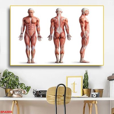 File in lụa Tranh trang trí Spa SPA2683 (tân cổ điển) Tranh trang trí Spa SPA2683