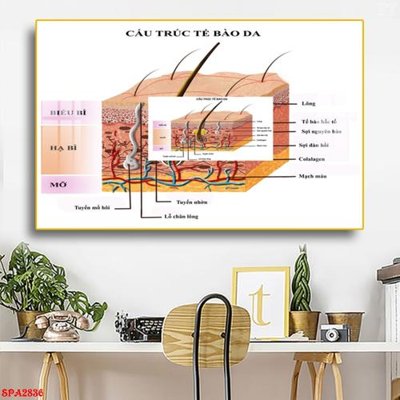 File tranh Tranh trang trí Spa SPA2836 (gốc) in trên kính