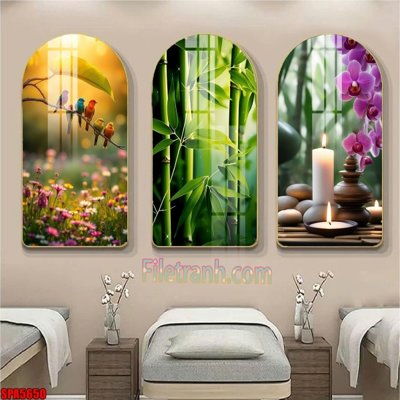 File in trần File tranh vòm spa kiểu mới SPA5650 (file gốc) xuyên sáng