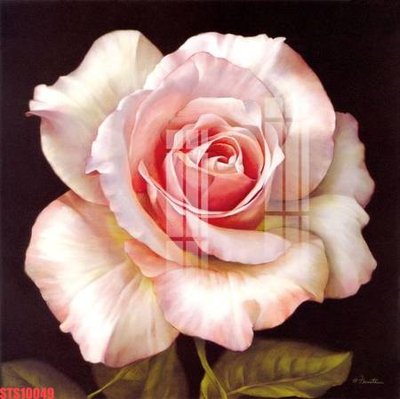 File gốc Tranh sơn dầu phương tây tổng hợp STS10049 (phiên bản chuẩn) để in ấn