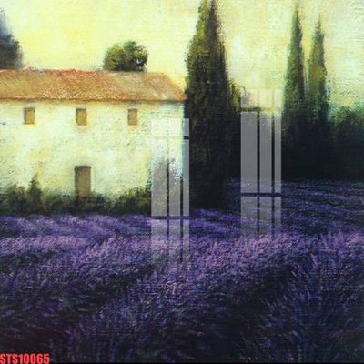 Tải file Tranh sơn dầu phương tây tổng hợp STS10065 (PSD) cho in tranh kính