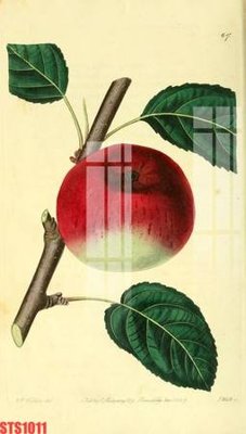 Download file Tranh sơn dầu phương tây tổng hợp STS1011 (gốc) cho xưởng in