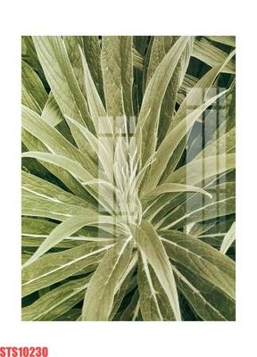 Tải file gốc Tranh sơn dầu phương tây tổng hợp STS10230 (bản PSD) chỉnh sửa được