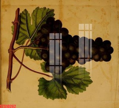 File ảnh Tranh sơn dầu phương tây tổng hợp STS10262 (gốc) in quảng cáo ngoài trời