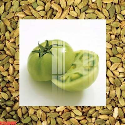 Tải file Tranh sơn dầu phương tây tổng hợp STS10401 (gốc) làm tranh trang trí