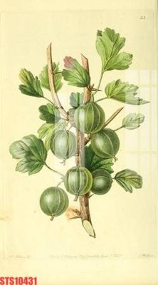 File gốc Tranh sơn dầu phương tây tổng hợp STS10431 (in mica) trang trí