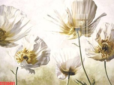 Tải về hình ảnh gốc Tranh sơn dầu phương tây tổng hợp STS10491 sắc nét