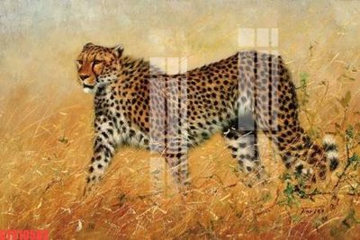 Hình ảnh gốc Tranh sơn dầu phương tây tổng hợp STS10582 (để in khổ lớn)