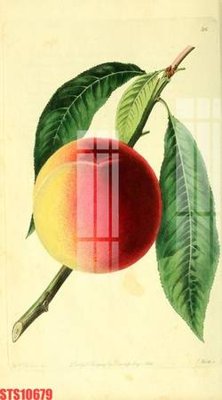 File gốc Tranh sơn dầu phương tây tổng hợp STS10679 (cho in ấn) từ kho Filetranh