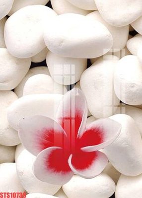 File ảnh Tranh sơn dầu phương tây tổng hợp STS10739 (gốc) cho trang trí nội thất