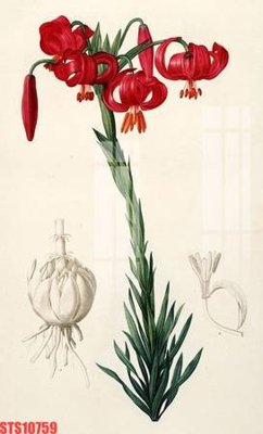 Tải file tranh Tranh sơn dầu phương tây tổng hợp STS10759 (ảnh gốc) ngay