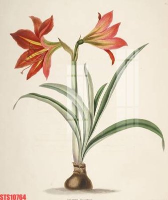 Ảnh gốc file in lụa Tranh sơn dầu phương tây tổng hợp STS10764 chi tiết