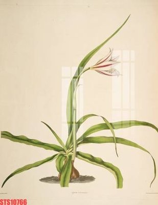 File gốc Tranh sơn dầu phương tây tổng hợp STS10766 (PSD/TIFF) độ phân giải cao