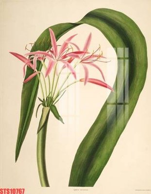 File tranh Tranh sơn dầu phương tây tổng hợp STS10767 (bản gốc) treo tường