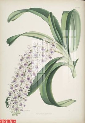 File tranh Tranh sơn dầu phương tây tổng hợp STS10792 (gốc) phong cách tối giản