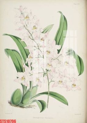 File in lụa Tranh sơn dầu phương tây tổng hợp STS10796 (phong cảnh) Tranh sơn dầu phương tây tổng hợp STS10796