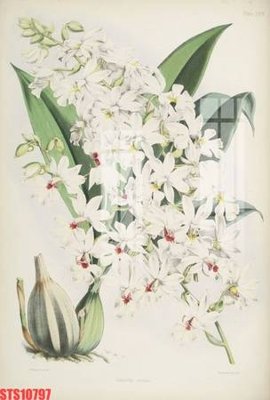 File ảnh Tranh sơn dầu phương tây tổng hợp STS10797 (gốc) cho trang trí nhà hàng