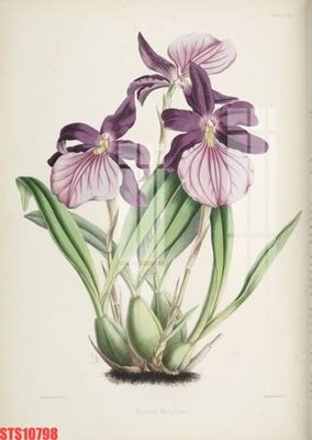 Tải file gốc Tranh sơn dầu phương tây tổng hợp STS10798 (bản PSD) còn layer