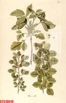 Download file gốc Tranh sơn dầu phương tây tổng hợp STS10818 (dùng cho in ấn)