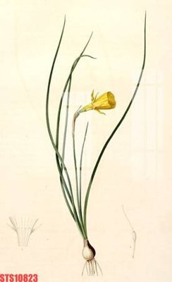 File tranh trang trí Tranh sơn dầu phương tây tổng hợp STS10823 (tải file gốc)