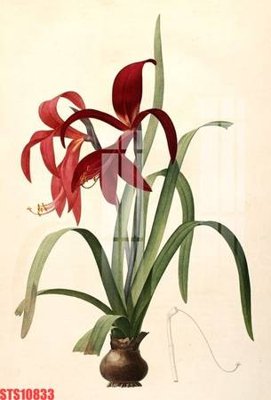 File tranh gốc Tranh sơn dầu phương tây tổng hợp STS10833 (bản quyền) file PSD