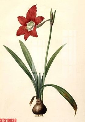 File tranh Tranh sơn dầu phương tây tổng hợp STS10838 (ảnh gốc) độ nét vượt trội