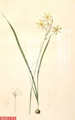 File tranh Tranh sơn dầu phương tây tổng hợp STS10839 (gốc) chủ đề thành phố