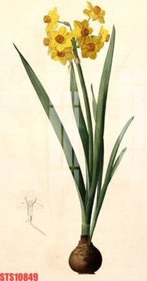 File tranh gốc Tranh sơn dầu phương tây tổng hợp STS10849 chủ đề hiện đại