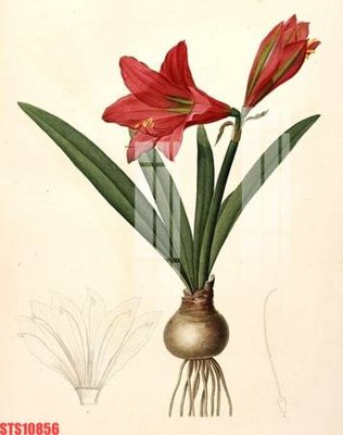 File gốc Tranh sơn dầu phương tây tổng hợp STS10856 cho in ấn và thiết kế