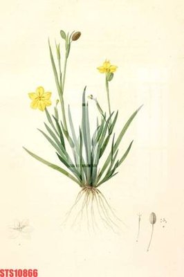 File gốc Tranh sơn dầu phương tây tổng hợp STS10866 (in lụa) họa tiết 3D