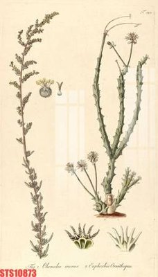 File tranh Tranh sơn dầu phương tây tổng hợp STS10873 (gốc) phong cách tối giản